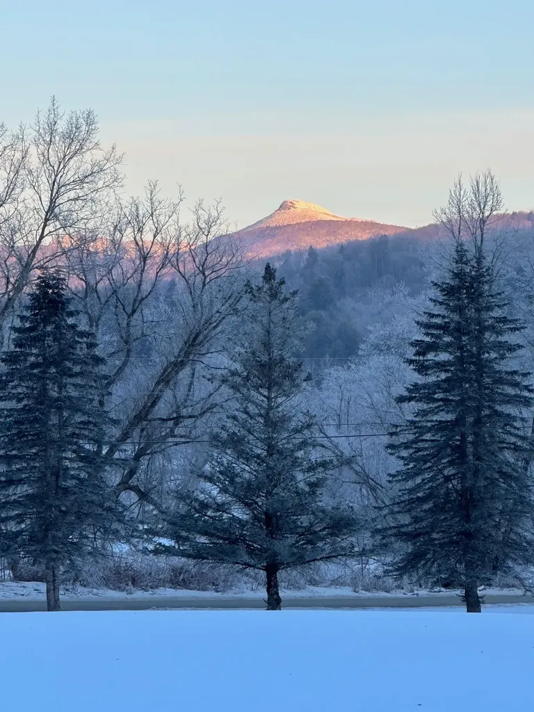 397 Pony Farm Road Moretown VT 05660