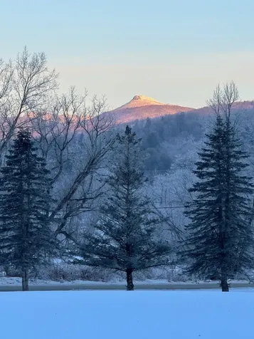 397 Pony Farm Road Moretown VT 05660