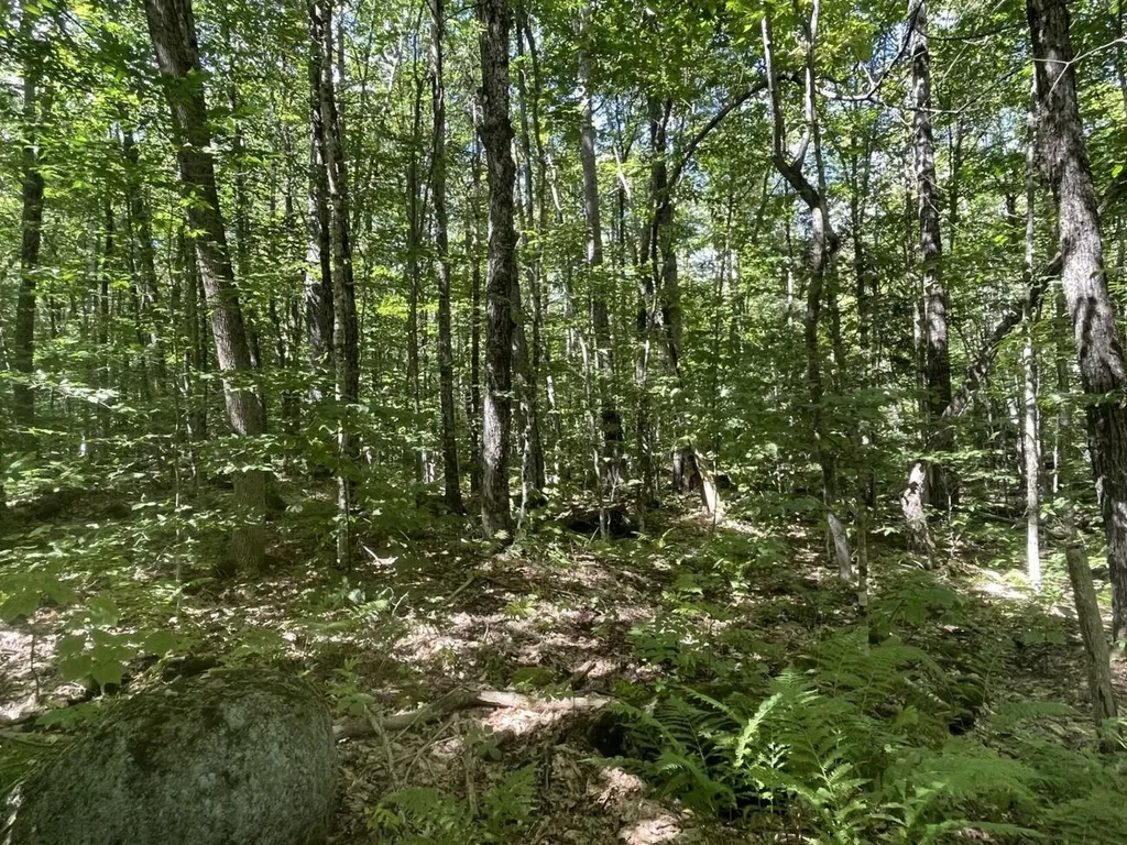 00 Scenic Drive Stoddard NH 03464