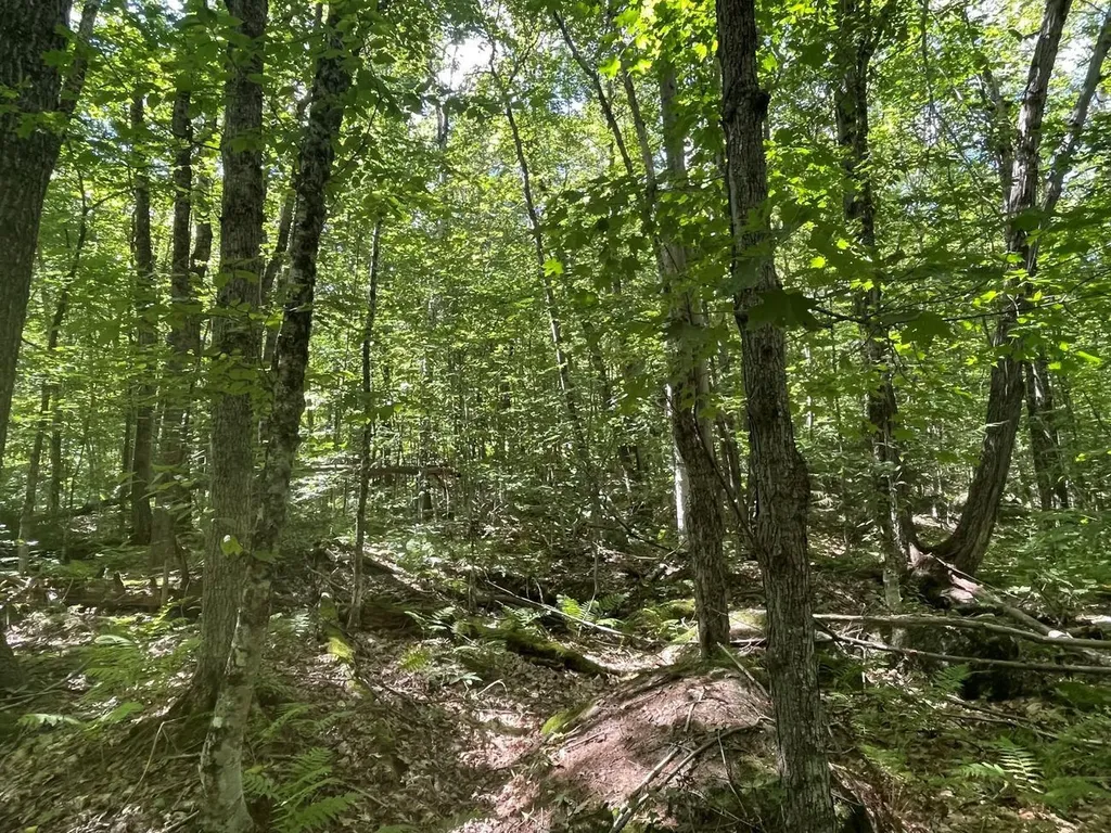 00 Scenic Drive Stoddard NH 03464