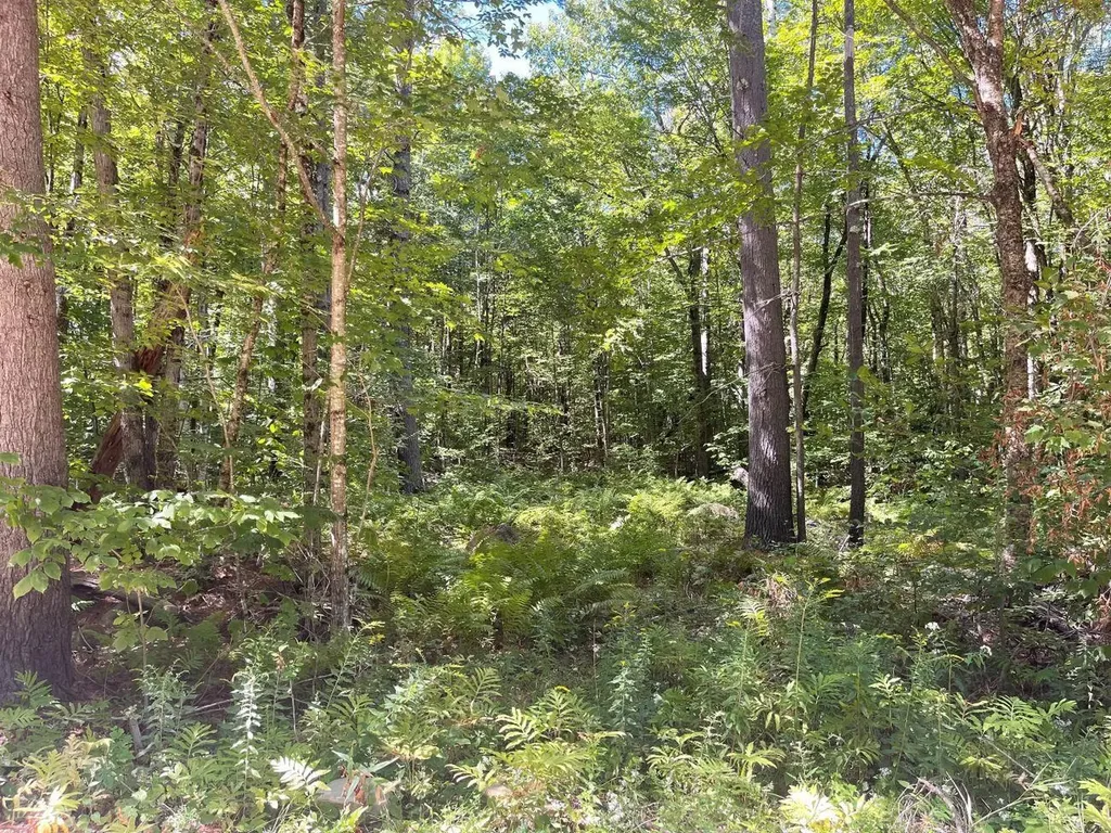 00 Scenic Drive Stoddard NH 03464