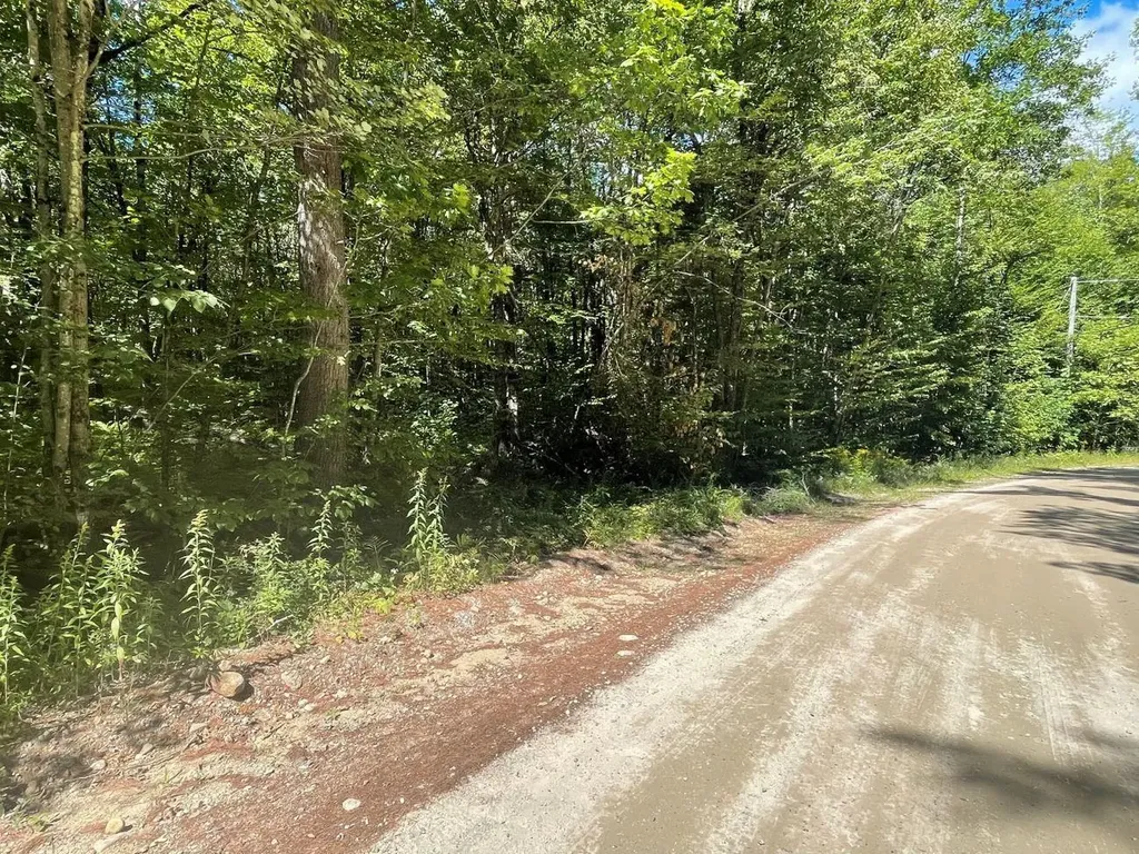 00 Scenic Drive Stoddard NH 03464