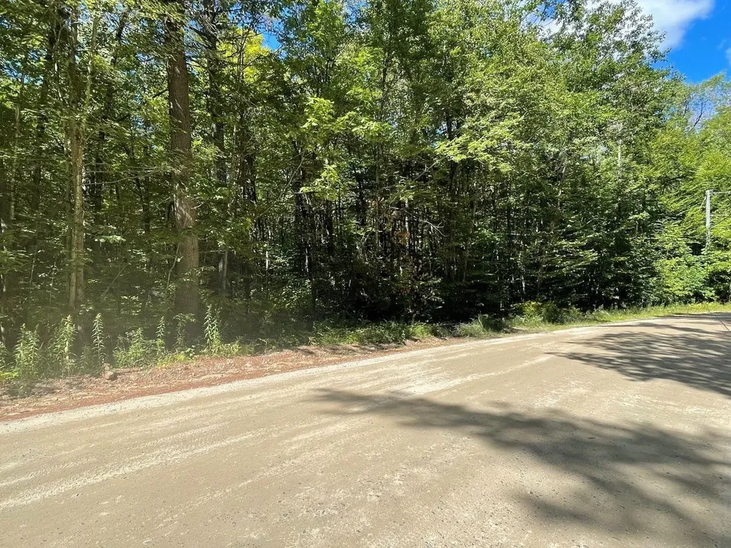 00 Scenic Drive Stoddard NH 03464