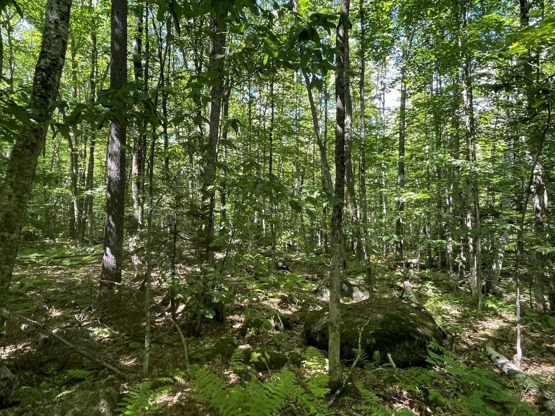 00 Scenic Drive Stoddard NH 03464