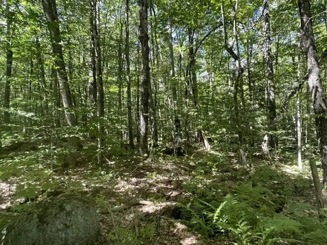 00 Scenic Drive Stoddard NH 03464