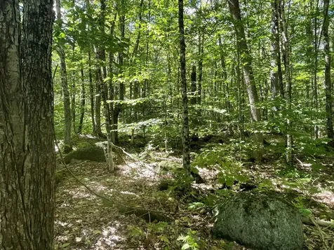 00 Scenic Drive Stoddard NH 03464