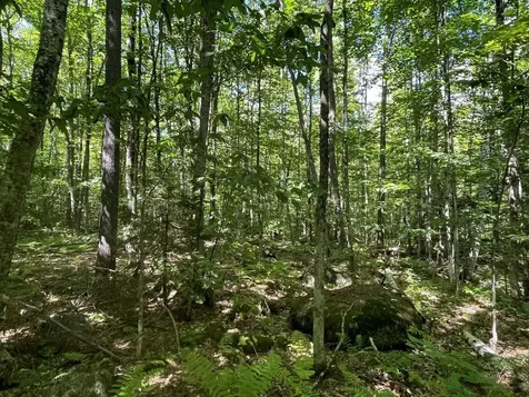 00 Scenic Drive Stoddard NH 03464