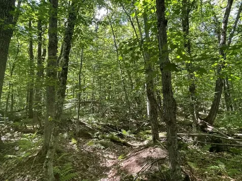 00 Scenic Drive Stoddard NH 03464