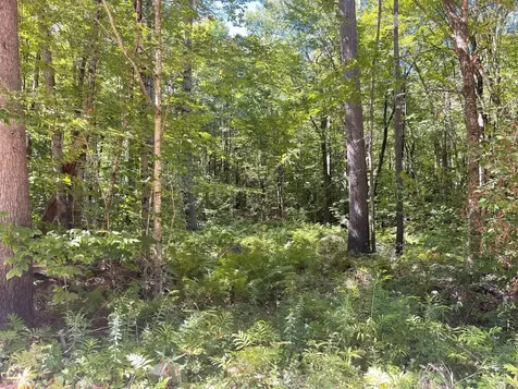 00 Scenic Drive Stoddard NH 03464