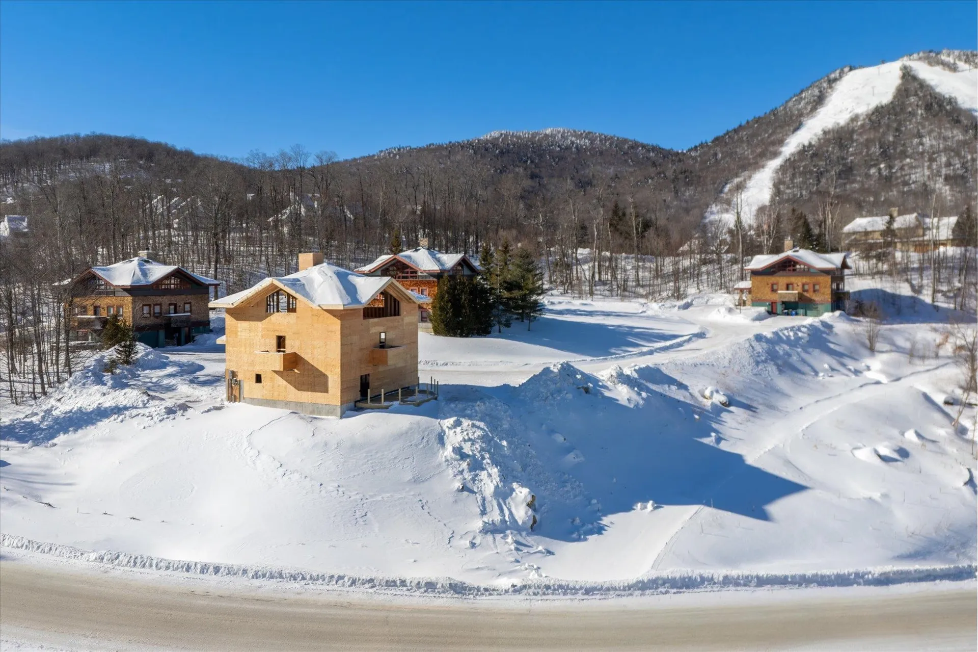 22 Vistas Drive Killington VT 05751