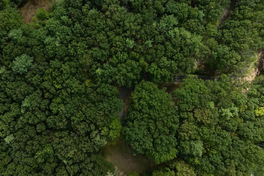 309 Southwest Road Canterbury NH 03224