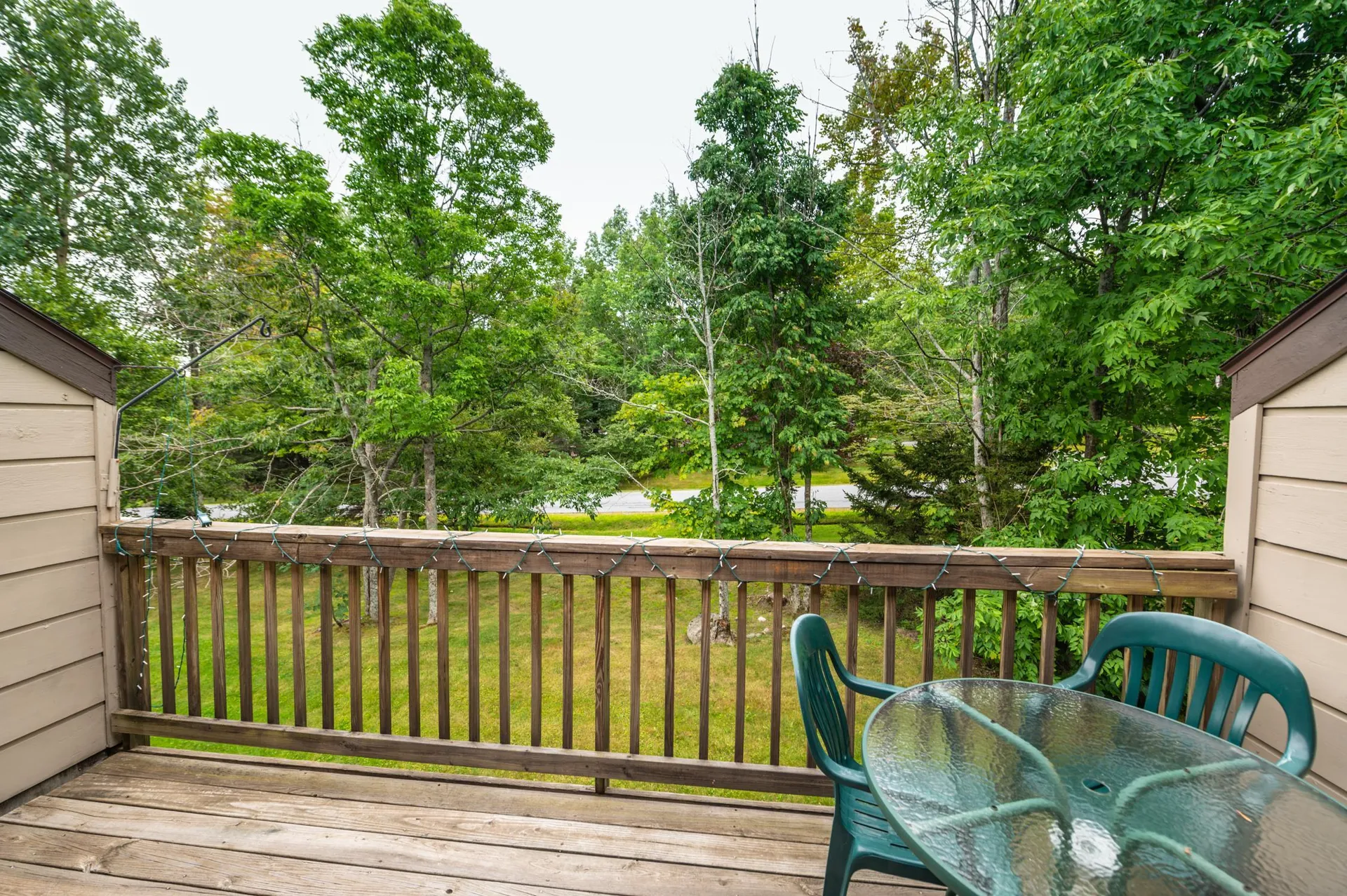 2d Polar Bear North Dover VT 05356