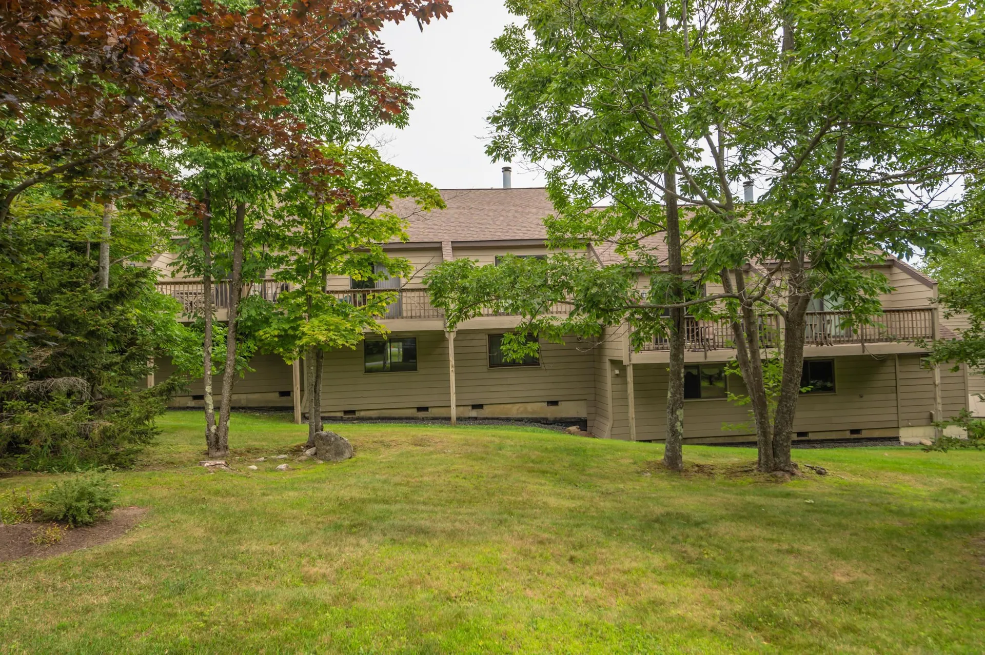 2d Polar Bear North Dover VT 05356