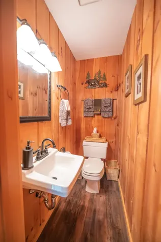 2D Polar Bear North Dover VT 05356