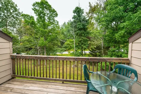 2D Polar Bear North Dover VT 05356