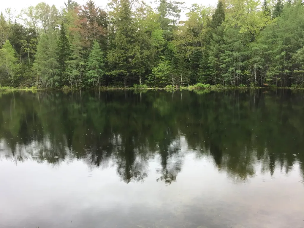 89 Woodwinds Drive Thornton NH 03285