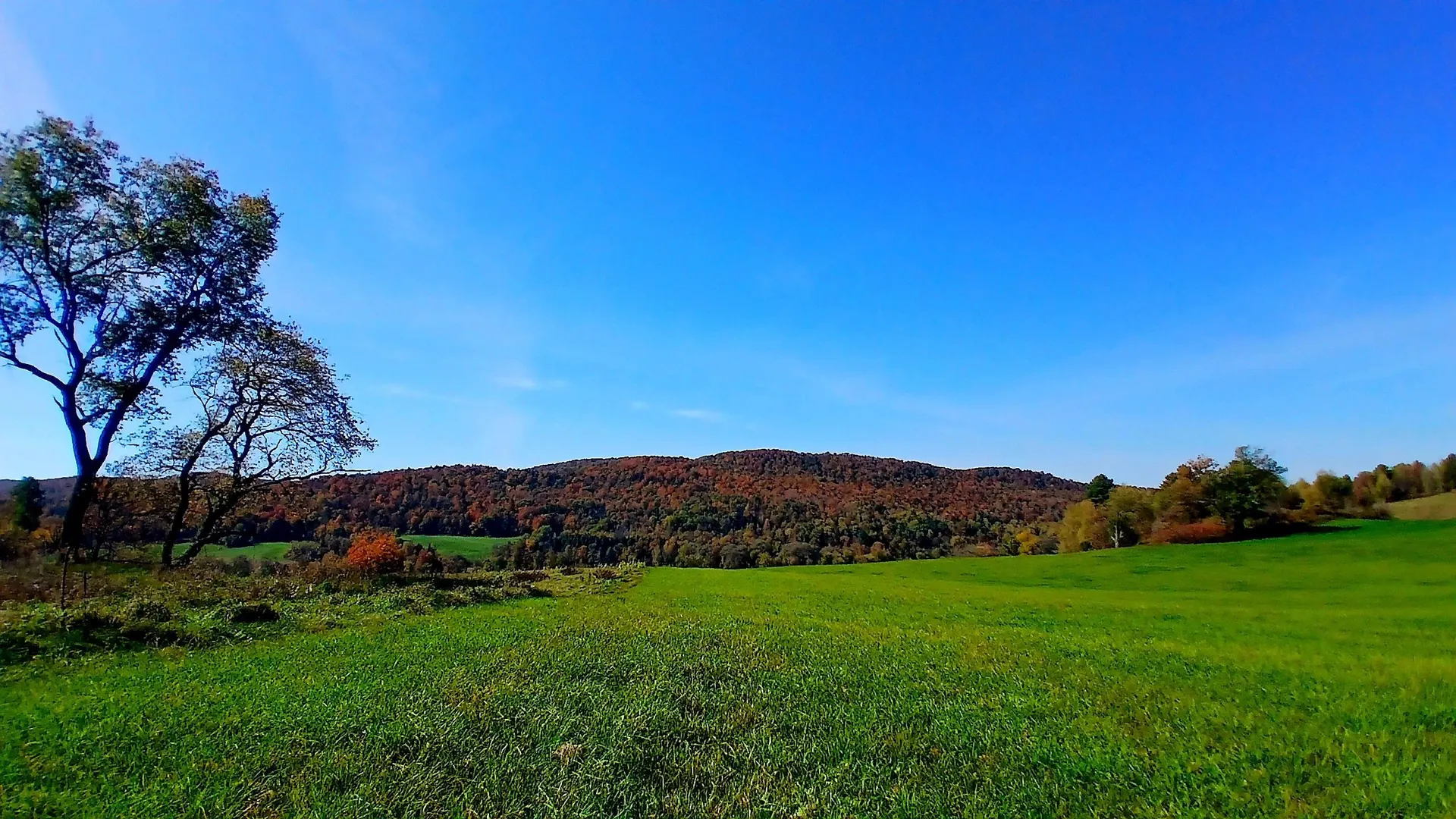 2318 West Enosburg Road Enosburg VT 05450