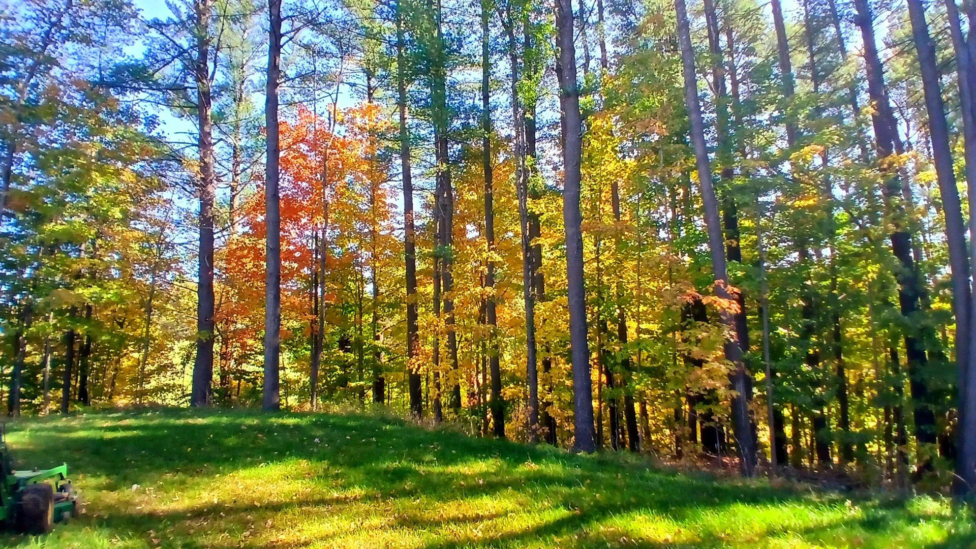 2318 West Enosburg Road Enosburg VT 05450