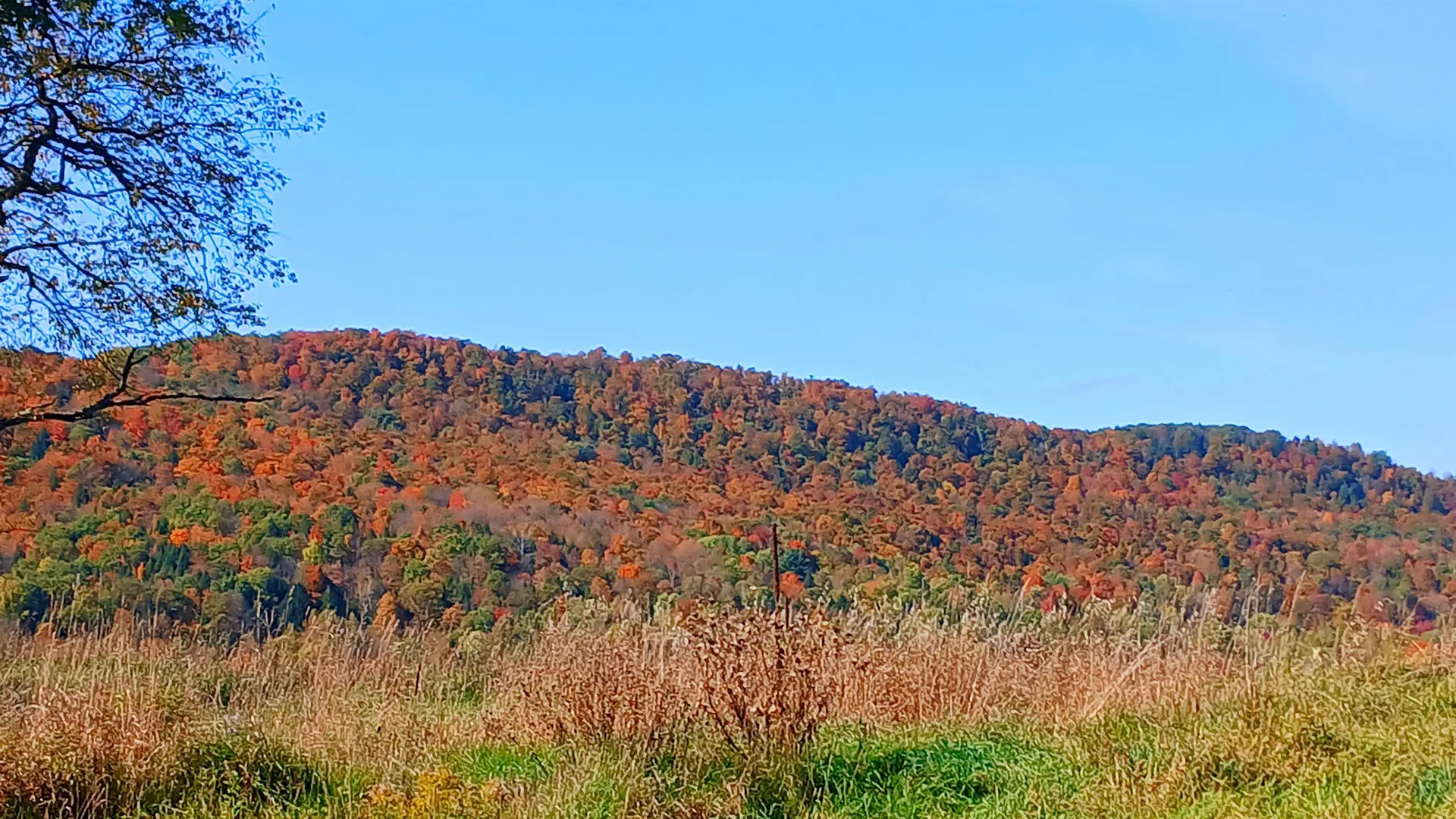 2318 West Enosburg Road Enosburg VT 05450