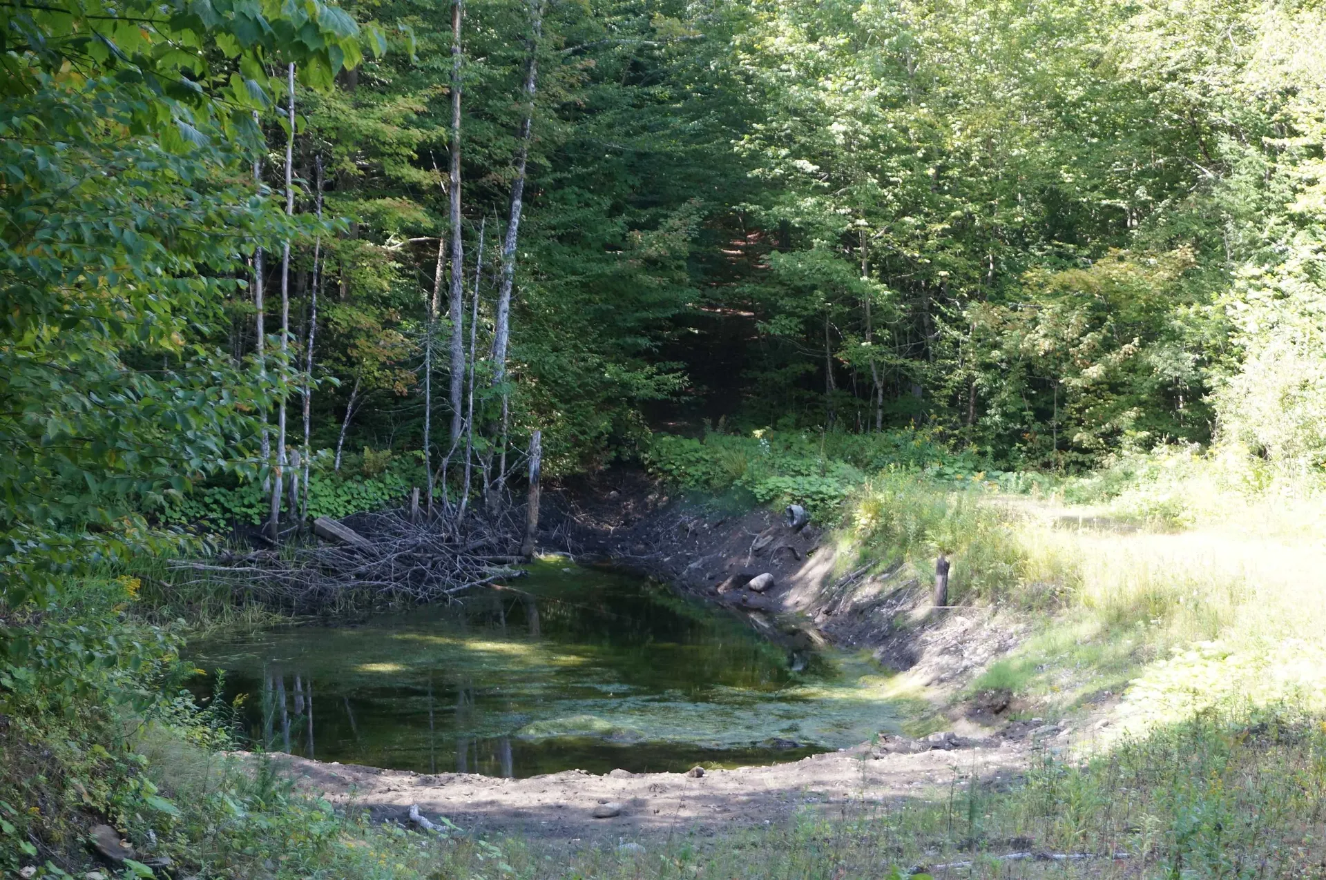 452 Vertical Mile Road Sheffield VT 05866