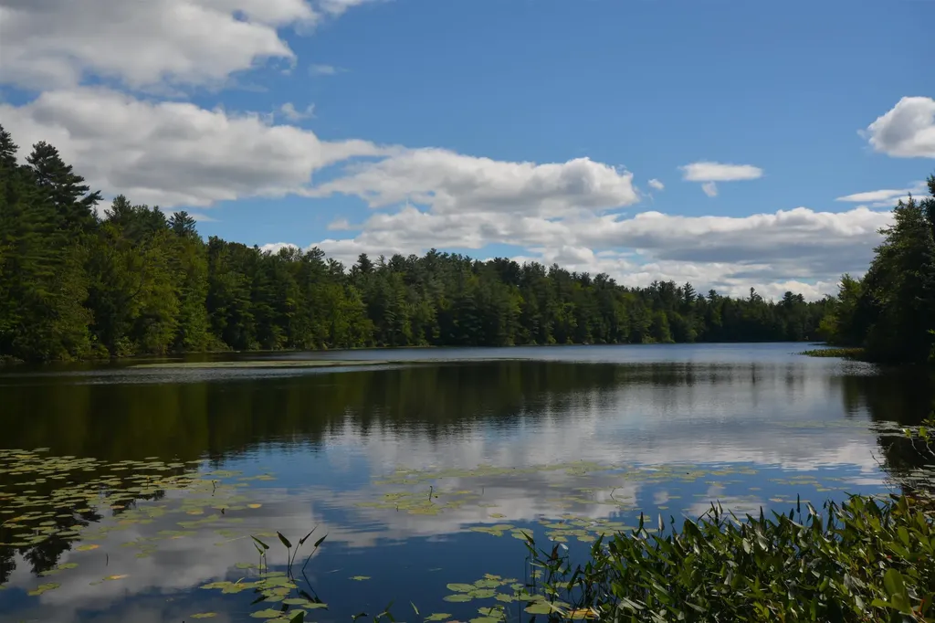 13 Forest Road Grantham NH 03753