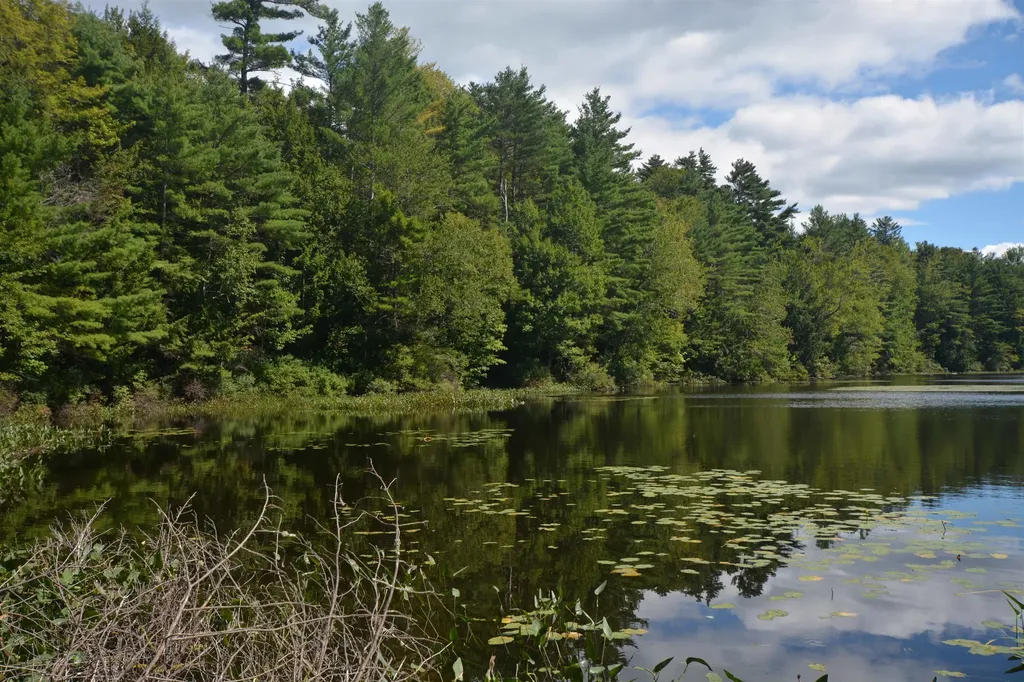 13 Forest Road Grantham NH 03753