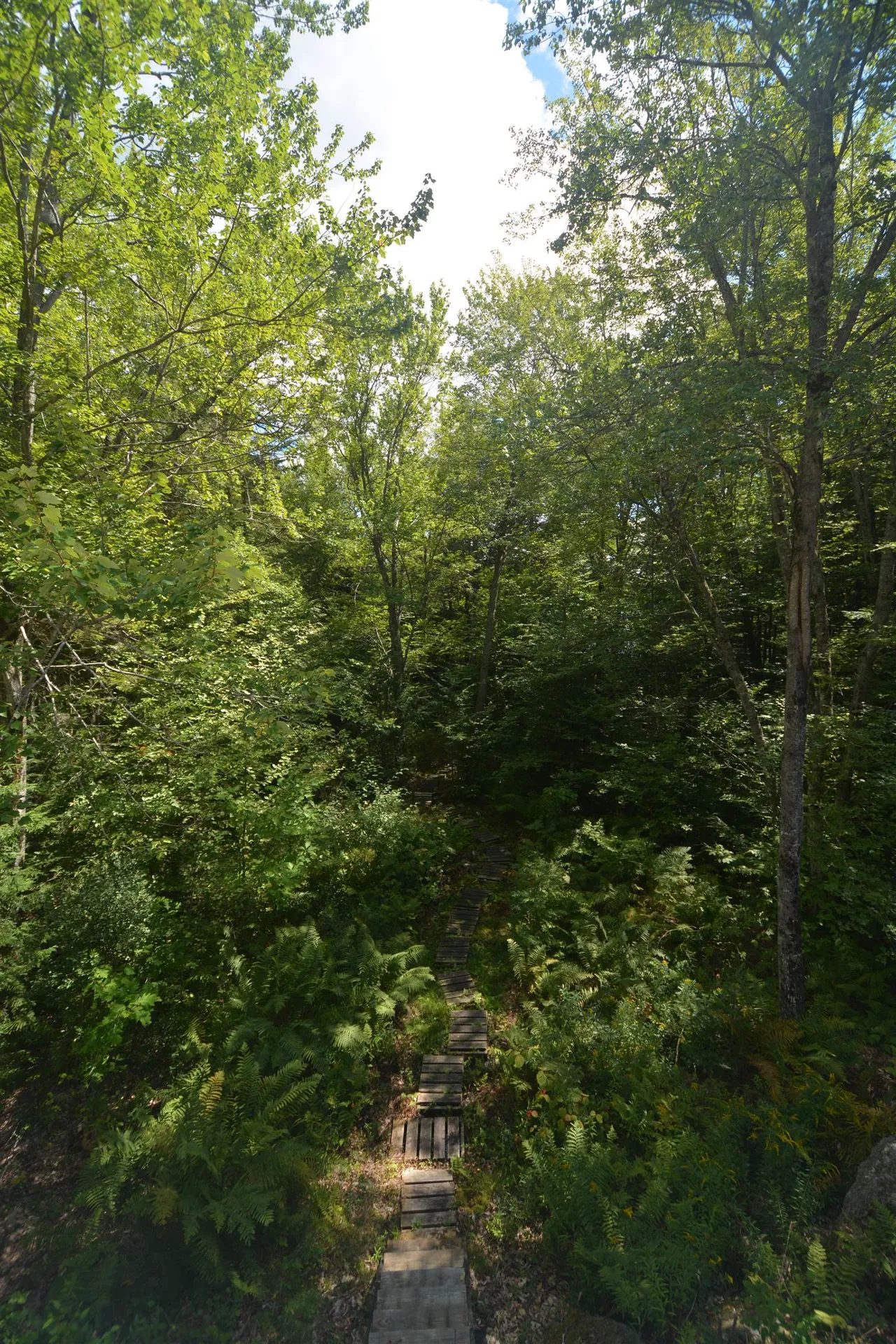 13 Forest Road Grantham NH 03753