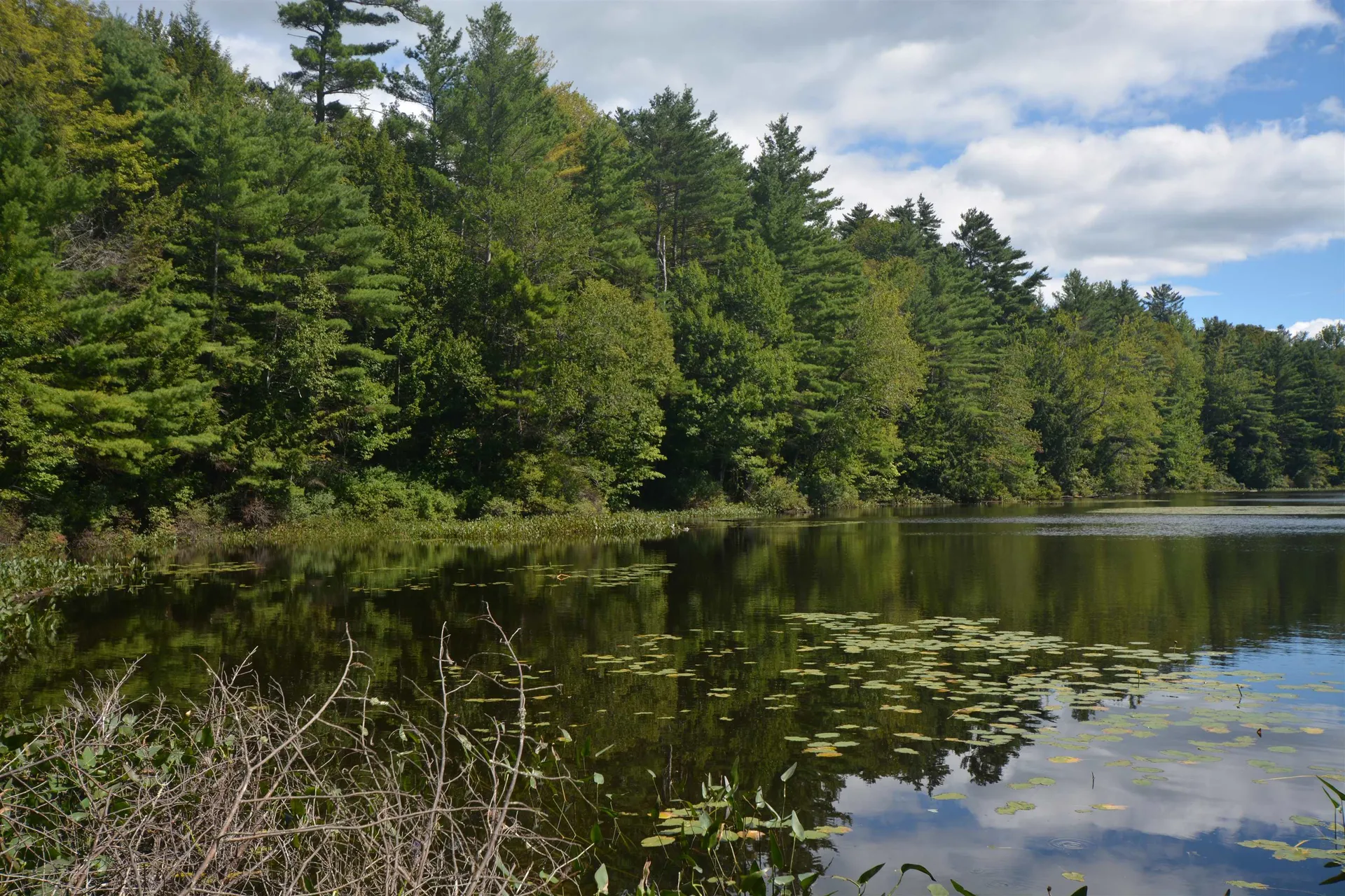 13 Forest Road Grantham NH 03753