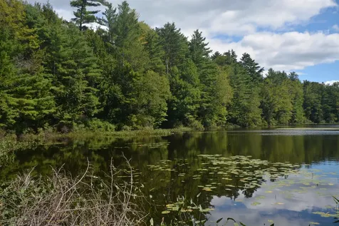 13 Forest Road Grantham NH 03753