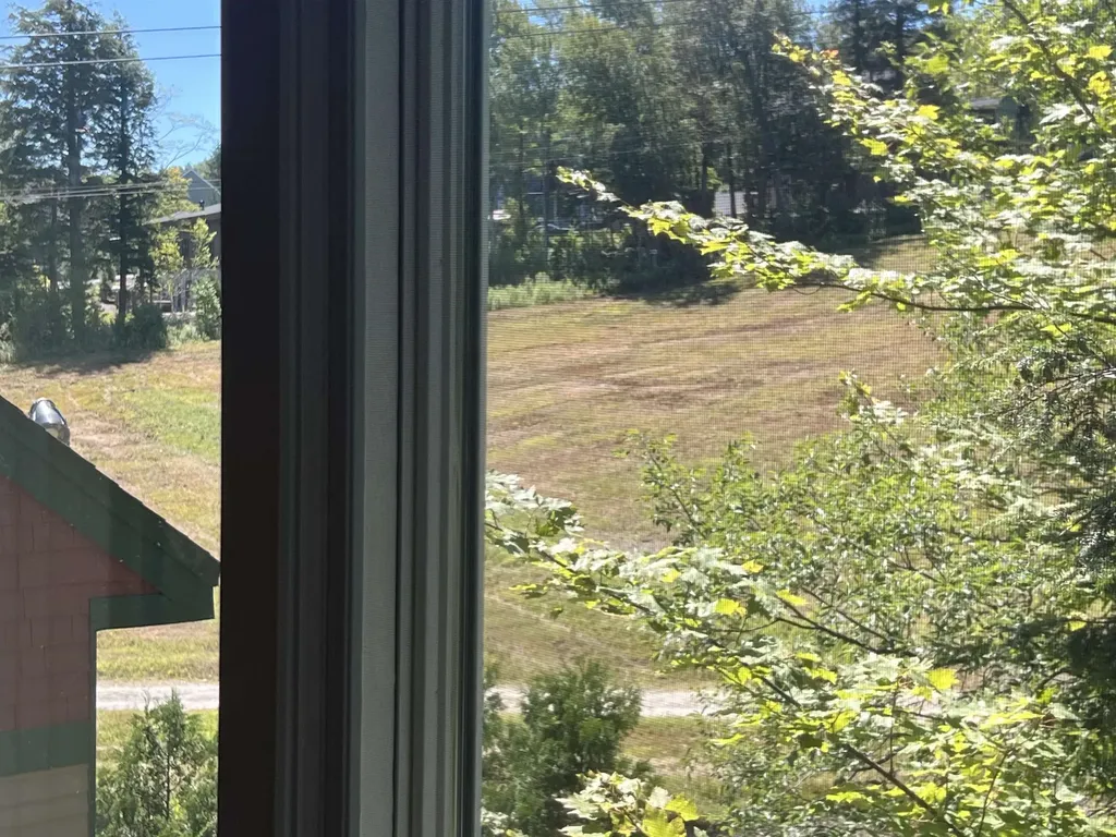 205, Qtr 3 89 Grand Summit Way Dover VT 05356