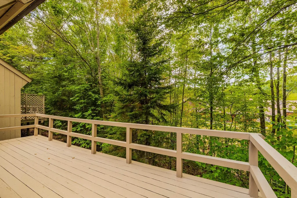 9 Pleasant Drive Grantham NH 03753