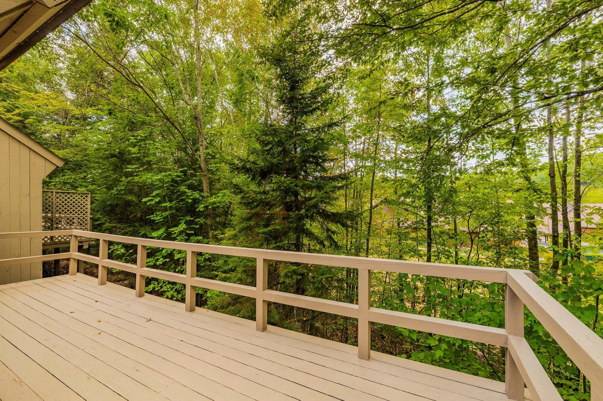 9 Pleasant Drive Grantham NH 03753