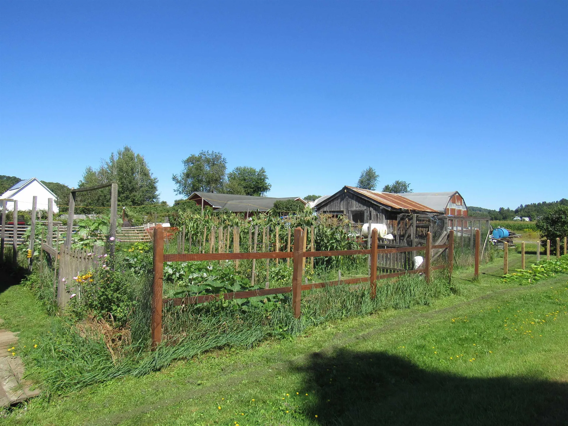 258 Elm Street Barton VT 05822