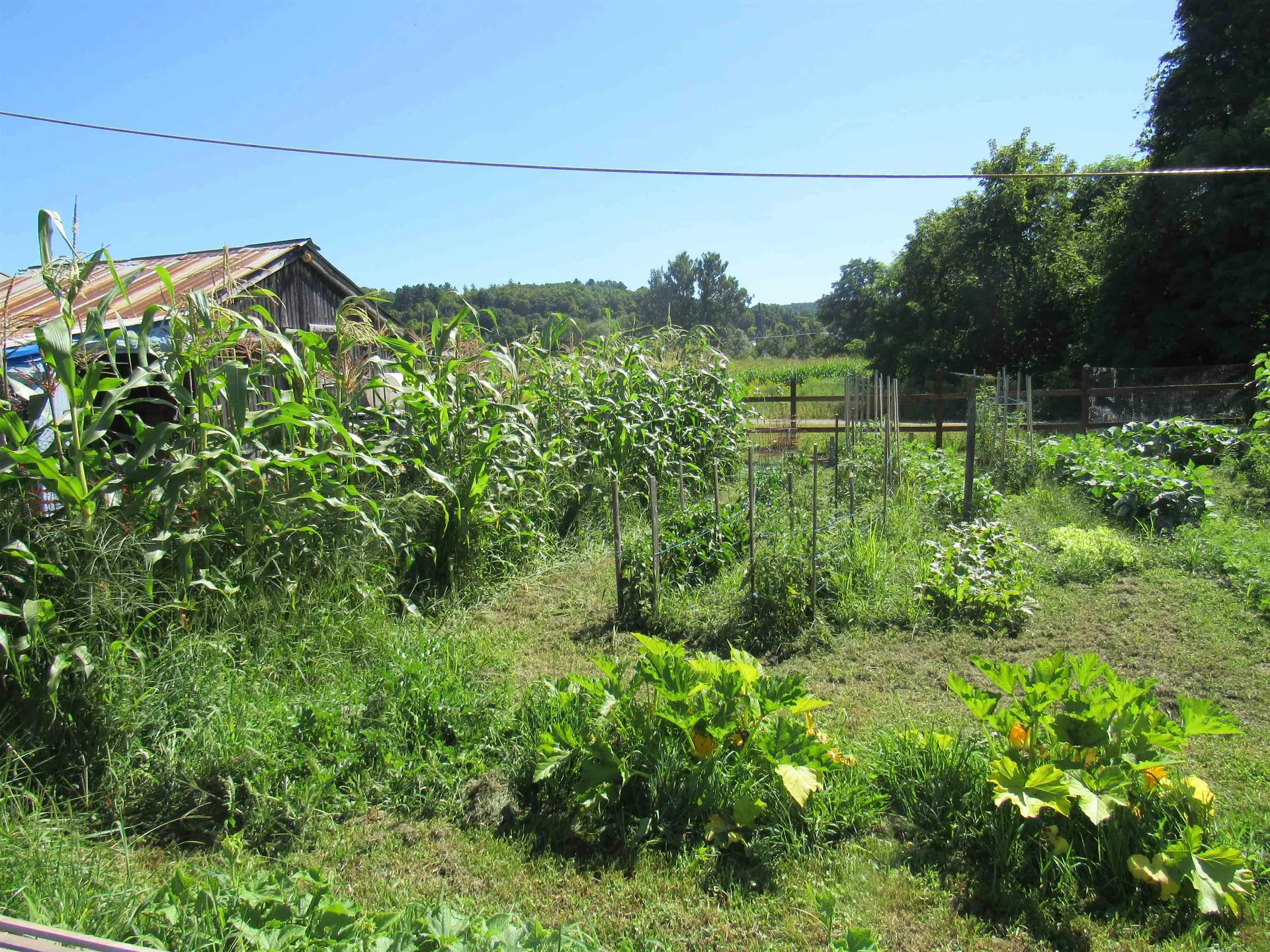 258 Elm Street Barton VT 05822