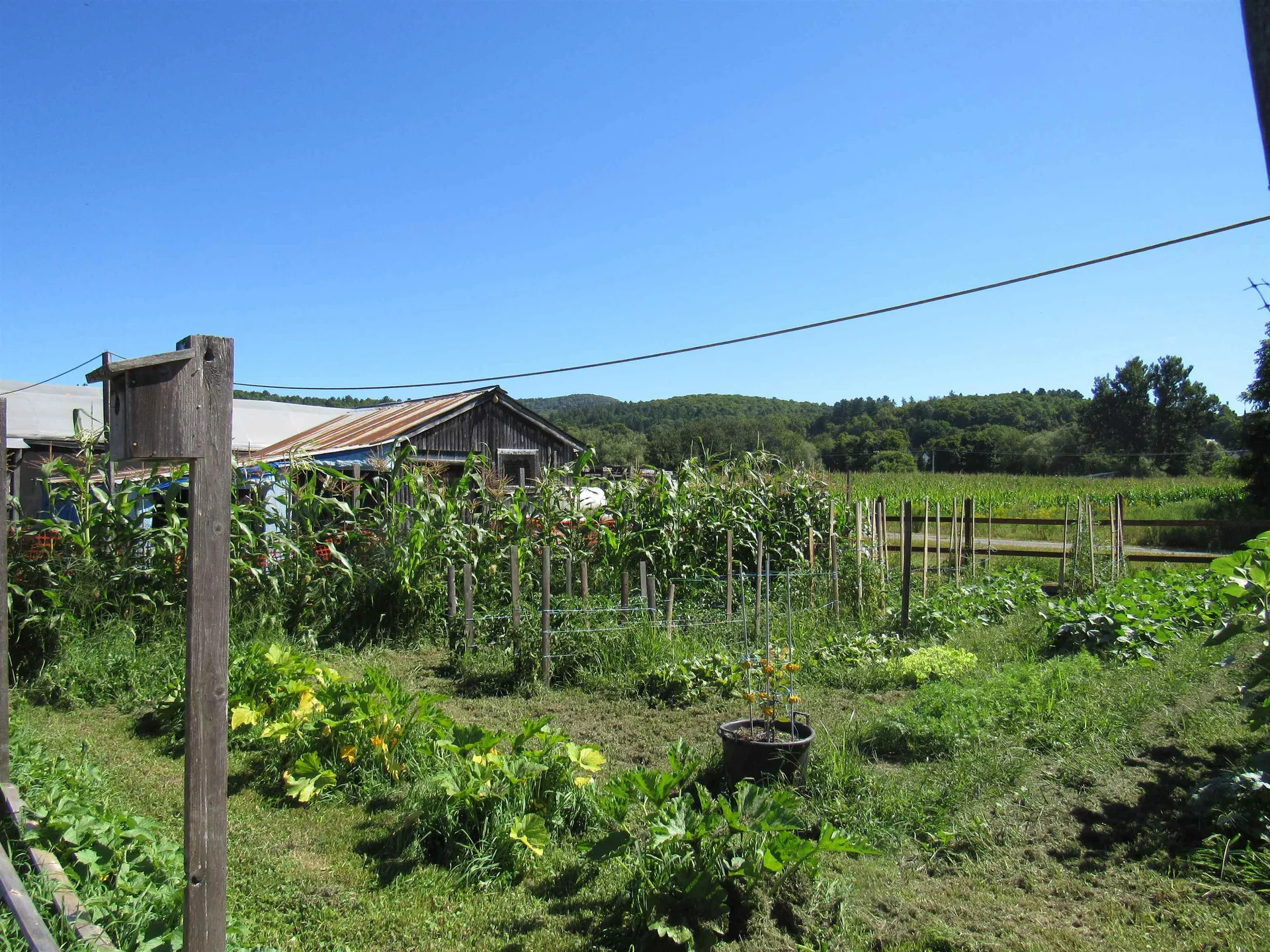 258 Elm Street Barton VT 05822