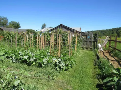 258 Elm Street Barton VT 05822