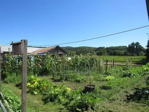 258 Elm Street Barton VT 05822