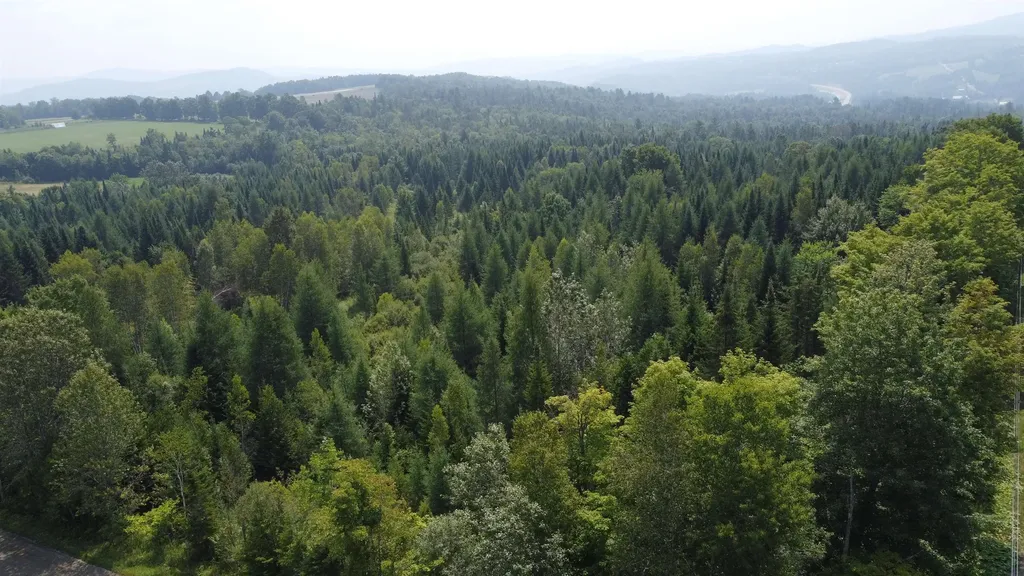 000 Old Coach Road Lyndon VT 05851