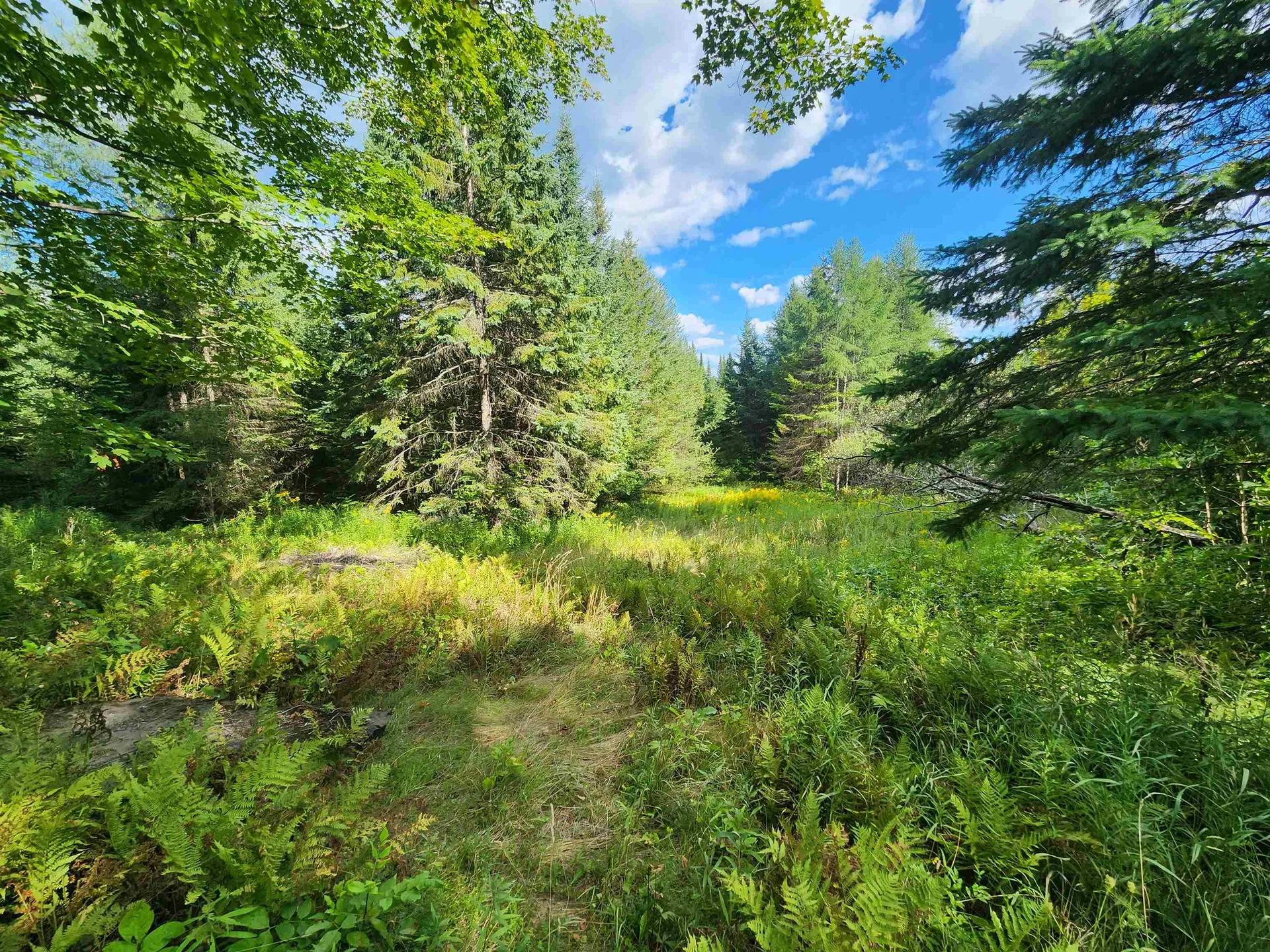 000 Old Coach Road Lyndon VT 05851