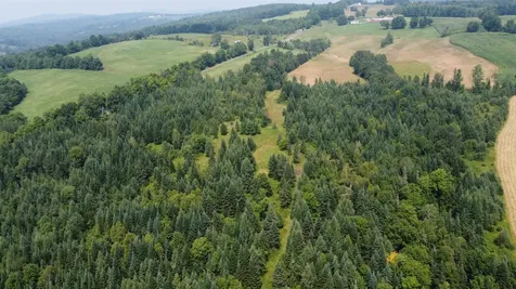 000 Old Coach Road Lyndon VT 05851