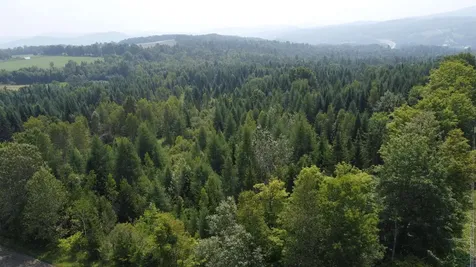 000 Old Coach Road Lyndon VT 05851