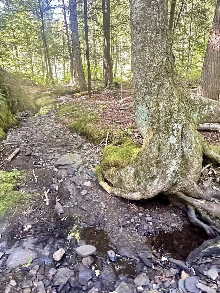 0 Lower Dover Road Marlboro VT 05344