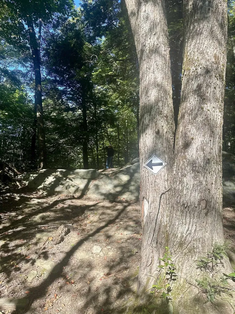 0 Lower Dover Road Marlboro VT 05344