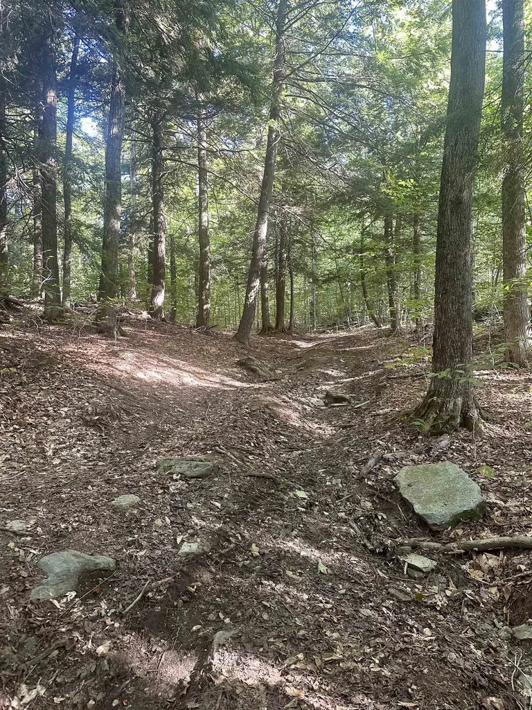 0 Lower Dover Road Marlboro VT 05344