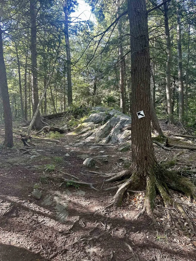 0 Lower Dover Road Marlboro VT 05344