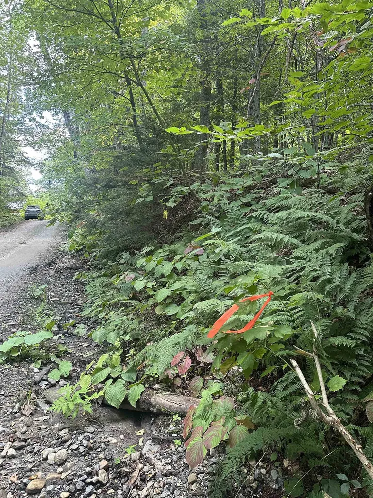 0 Lower Dover Road Marlboro VT 05344