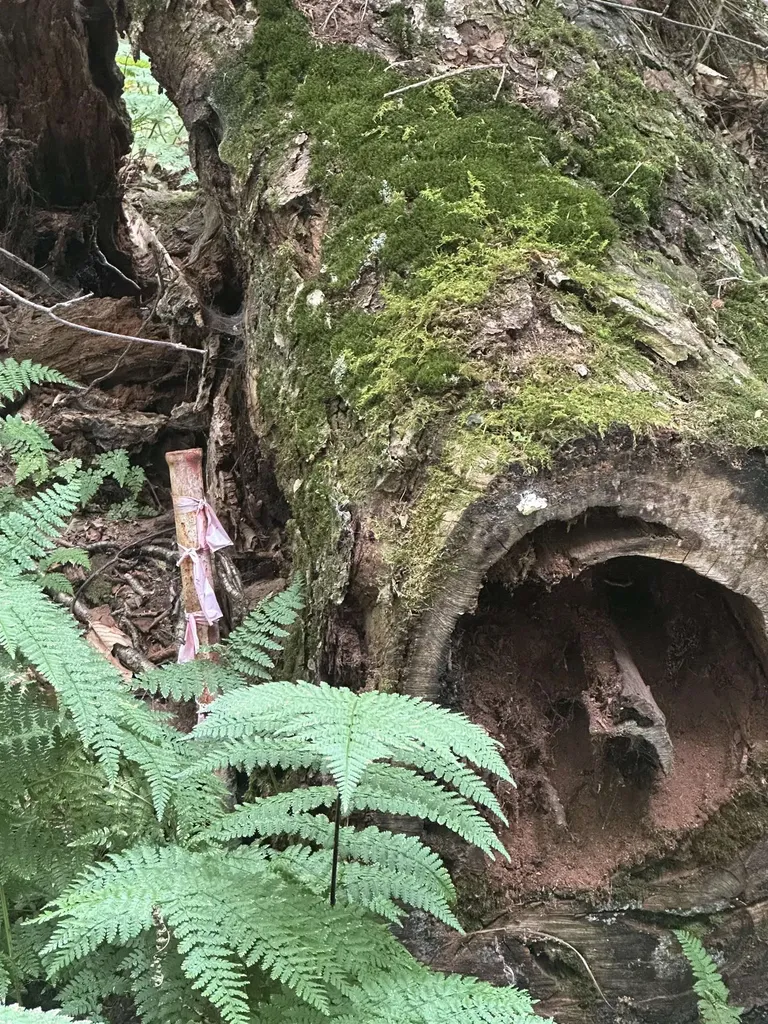 0 Lower Dover Road Marlboro VT 05344