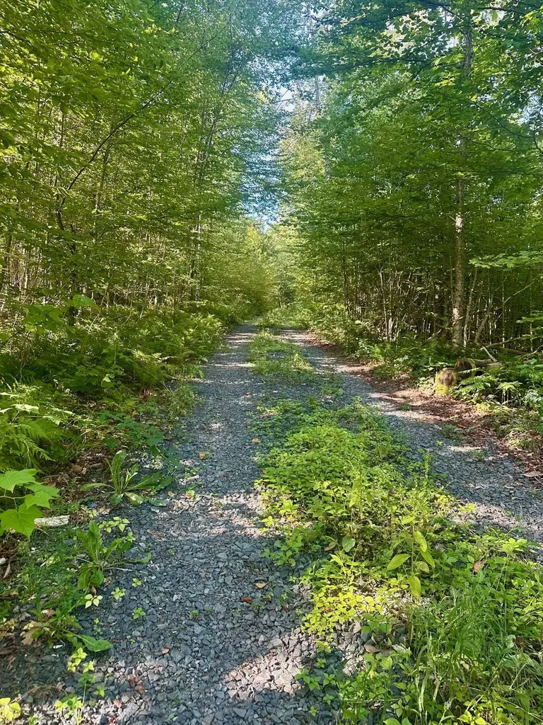 0 Lower Dover Road Marlboro VT 05344