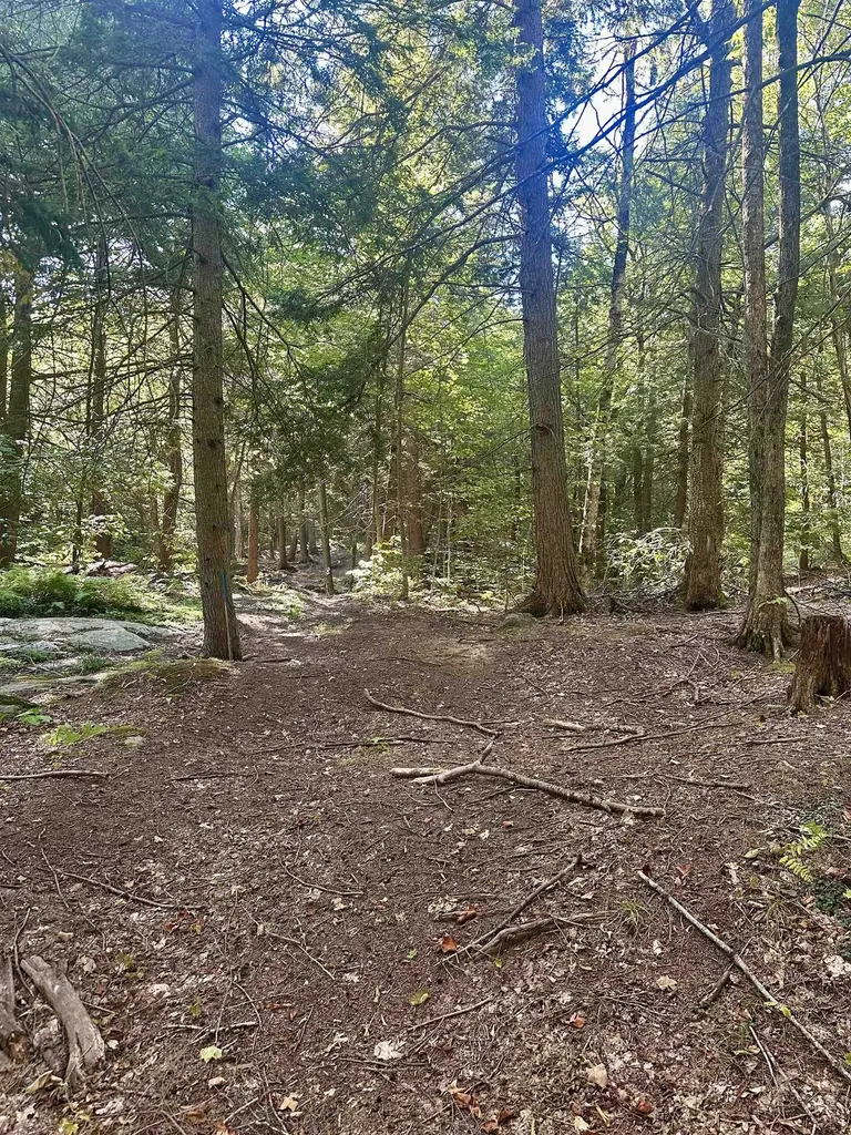 0 Lower Dover Road Marlboro VT 05344