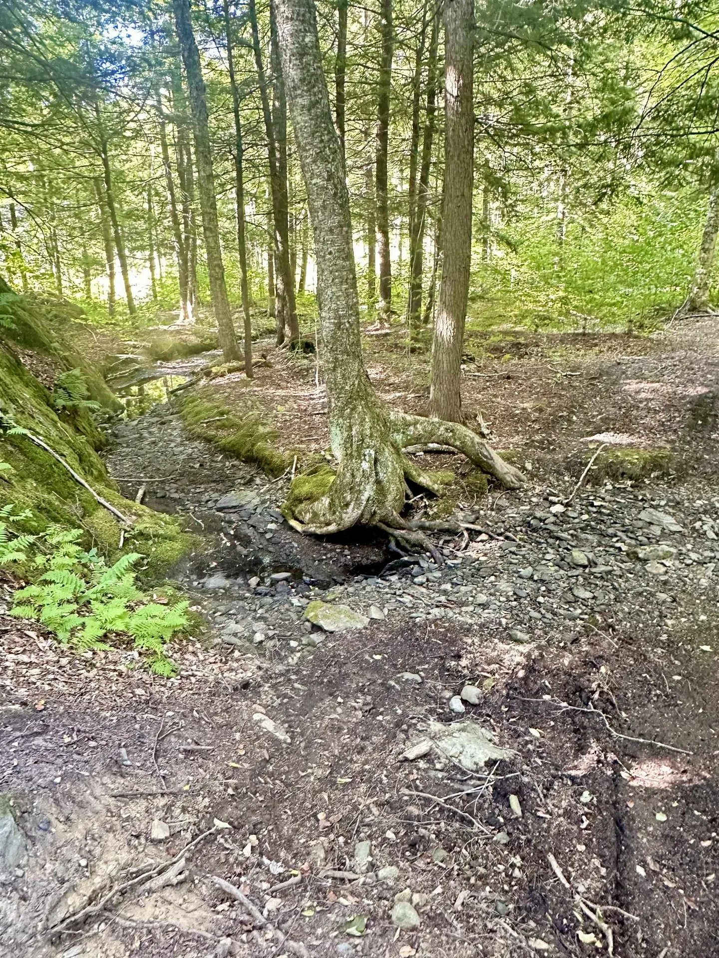 0 Lower Dover Road Marlboro VT 05344